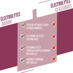 BaouwMûre-Cassis - Boisson énergétique