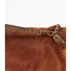 BarbourLeather Dog Lead - Laisse pour chien