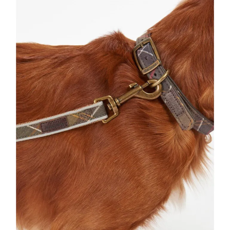 BarbourReflective Tartan Dog Lead - Laisse pour chien