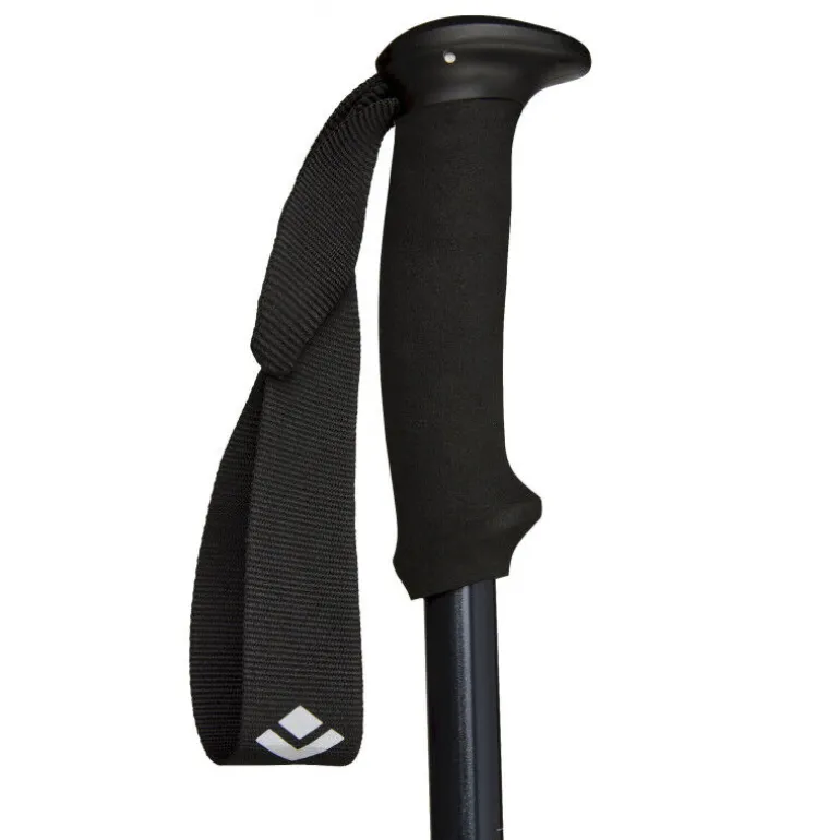Black DiamondExplorer 2 - Bâtons randonnée