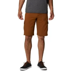 ColumbiaSilver Ridge™ II Cargo Short - Short randonnée homme