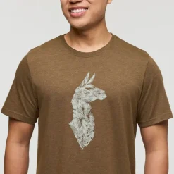 CotopaxiInto the Pines - T-shirt homme