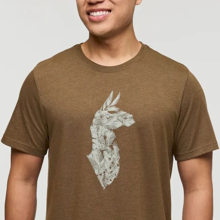 CotopaxiInto the Pines - T-shirt homme