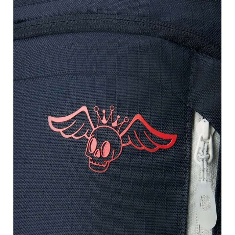 DakineHeli Pro 20L - Sac à dos ski homme