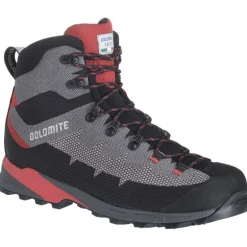 DolomiteSteinbock Wt GTX 2.0 - Chaussures trekking homme