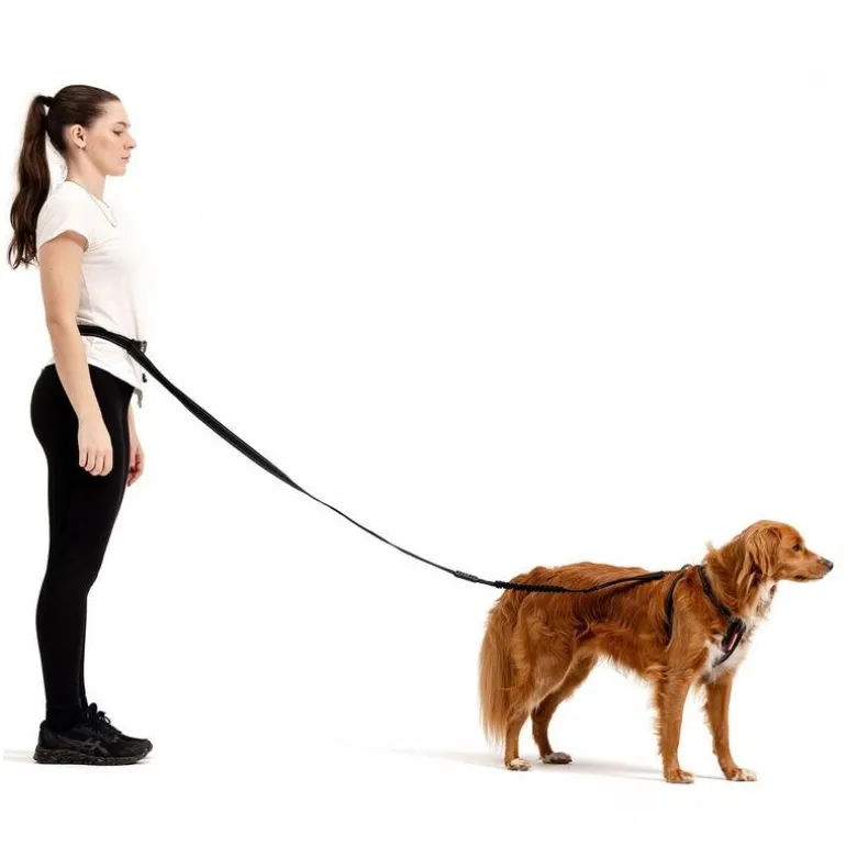 EzyDogRoad Runner Leash - Laisse pour chien
