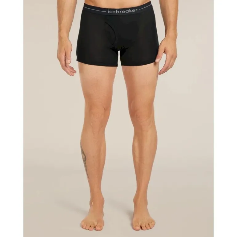 icebreaker175 Everyday Boxers wFly - Boxer laine mérinos homme