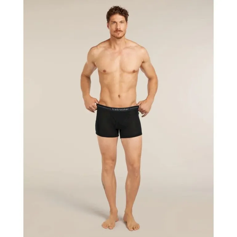 icebreaker175 Everyday Boxers wFly - Boxer laine mérinos homme