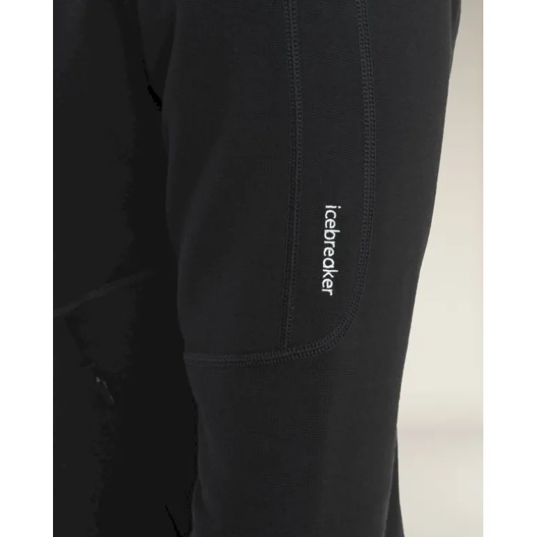 icebreaker560 RealFleece Elemental II LS Zip Hoodie - Polaire en laine mérinos homme