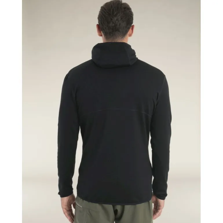 icebreaker560 RealFleece Elemental II LS Zip Hoodie - Polaire en laine mérinos homme