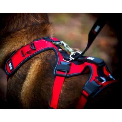 I-DogConfort Trek - Harnais pour chien
