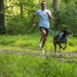 I-DogX-Back Phoenix ALM - Harnais pour chien