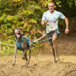 I-DogX-Back Phoenix ALM - Harnais pour chien
