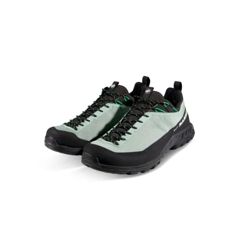 MammutAlnasca IV Low GTX - Chaussures approche homme
