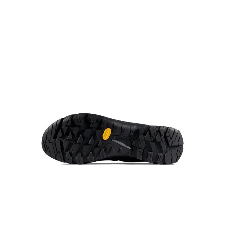 MammutAlnasca IV Low GTX - Chaussures approche homme