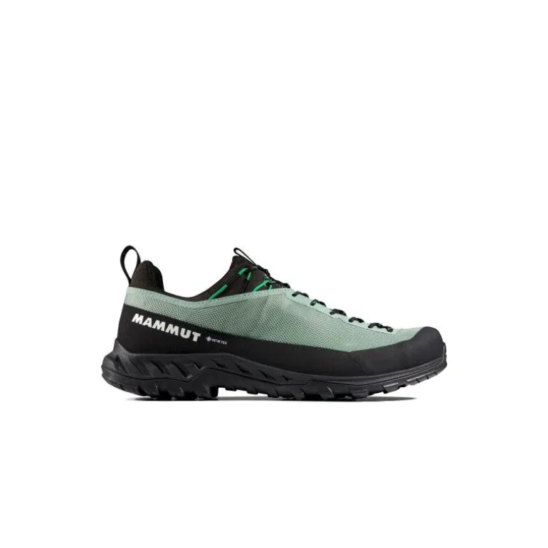 MammutAlnasca IV Low GTX - Chaussures approche homme