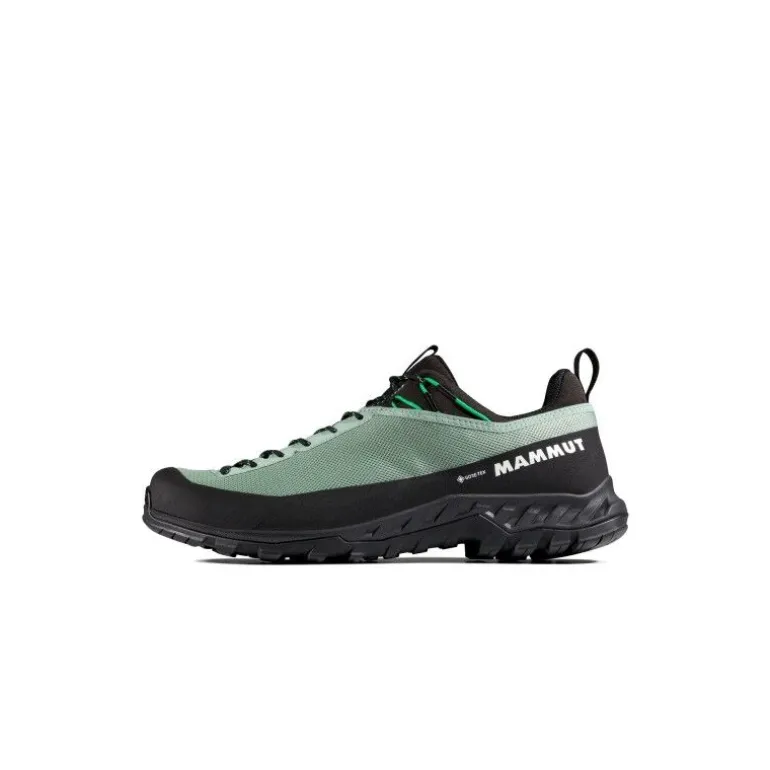 MammutAlnasca IV Low GTX - Chaussures approche homme