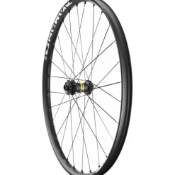 MavicE-Deemax S 29 | 15 x 110 mm Boost | 6 Trous - Roue avant VTT 29