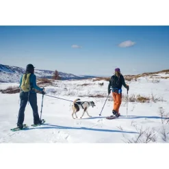 Non-stop dogwearFerd Belt - Ceinture canirando