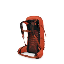 OspreyTalon Pro 30 - Sac à dos randonnée homme