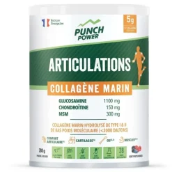 Punch PowerArticulations Collagene Marin Poudre 280 g