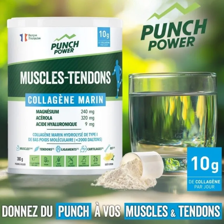 Punch PowerMuscles-Tendons Collagene Marin Poudre 300 g