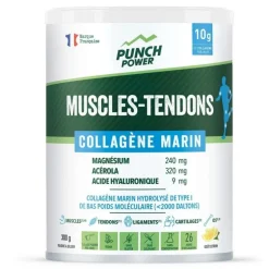 Punch PowerMuscles-Tendons Collagene Marin Poudre 300 g