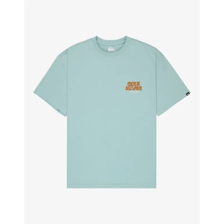 QuiksilverFruits Tide Ss - T-shirt homme