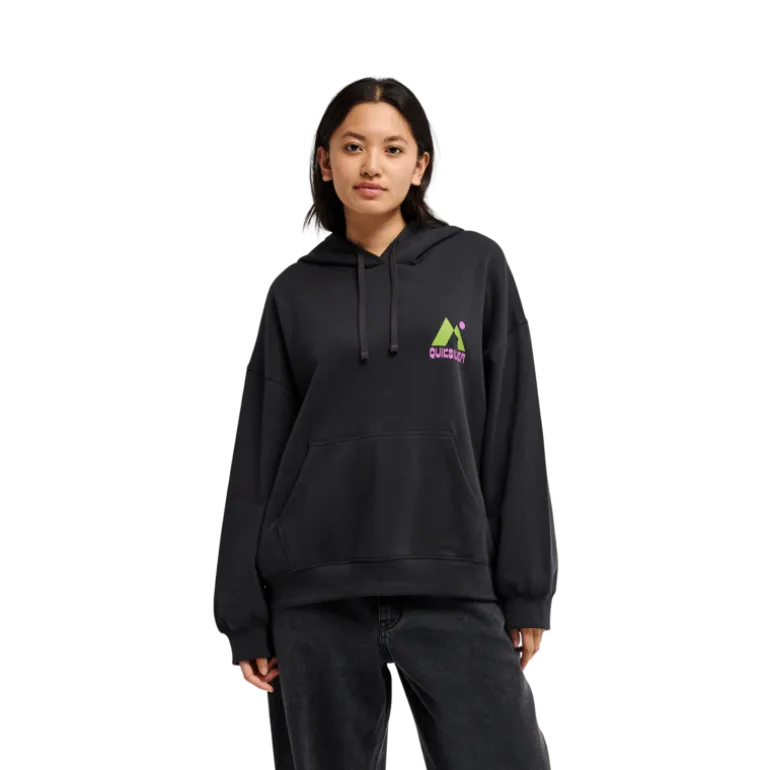 QuiksilverStandard Hoodie - Sweatshirt à capuche femme