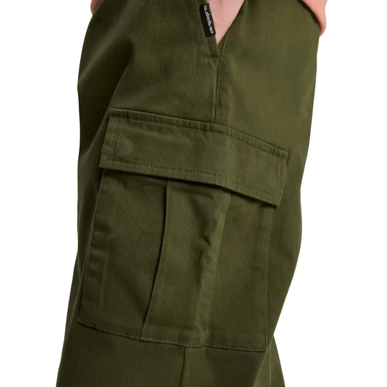 QuiksilverTaxer Regular Cargo Pant - Pantalon homme