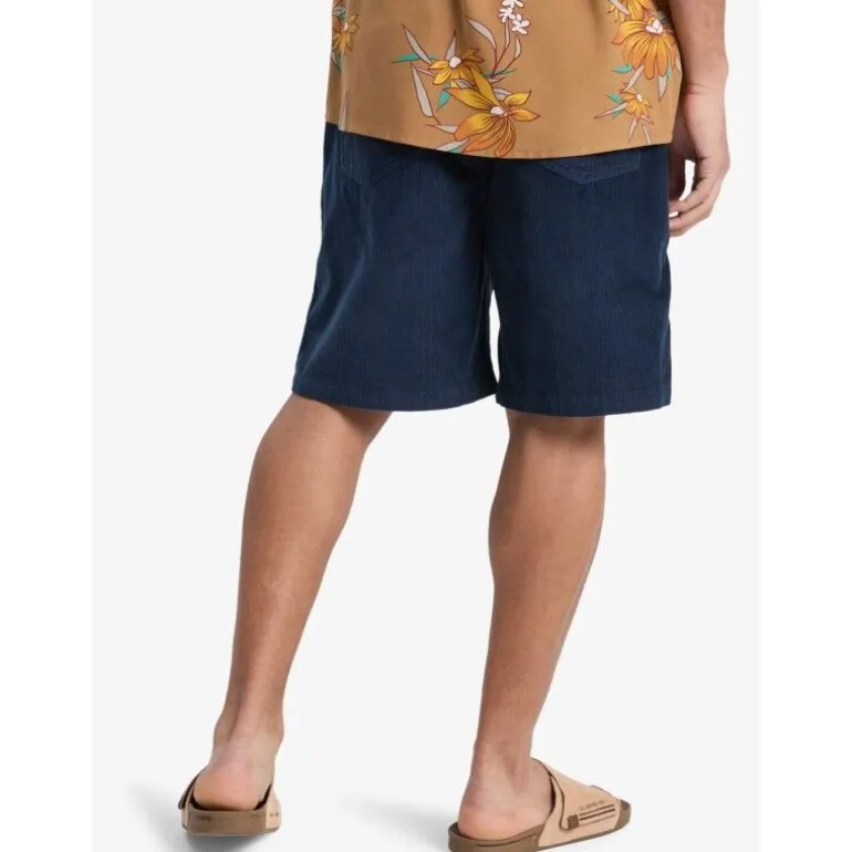 QuiksilverTaxer 18" - Short homme