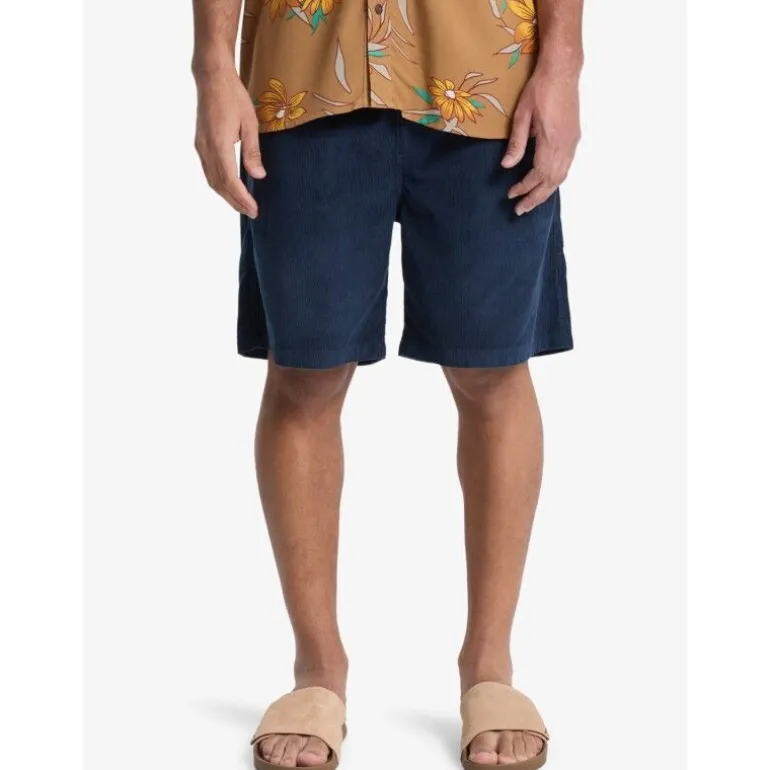 QuiksilverTaxer 18" - Short homme