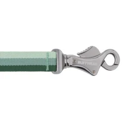 RuffwearRoamer Leash - Laisse canicross